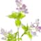 Lavender Wildflower Pick by Ashland&#xAE;